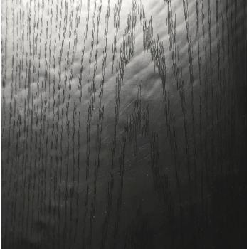 Folia do hydrografiki drewno